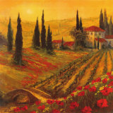 Poppies of Toscano I