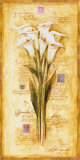 Callas of my Travels