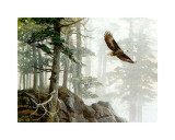 Buy Flying High at AllPosters.com