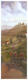 Buy Incisa at AllPosters.com