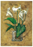 Buy Flores Blancas II at AllPosters.com
