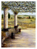 Il Trebbio West