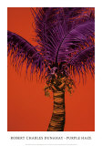 Buy Purple Haze at AllPosters.com
