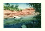 Canyon Stream