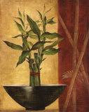 Lucky Bamboo II