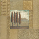 Stately Cypress