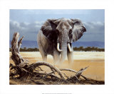 Buy The Sentinel at AllPosters.com