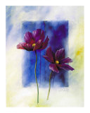 Buy Anemones at AllPosters.com
