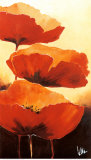 Buy Three Red Poppies I at AllPosters.com