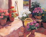 Buy Flower Pots at AllPosters.com
