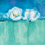 Fleurs d