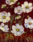 California Cosmos
