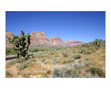Buy Lonely Desert Road - Las Vegas, Nevada at AllPosters.com