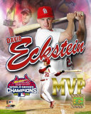 David Eckstein