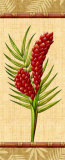 Fleurs Exotiques I