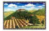 Wine Vinyard Estates
