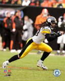 Troy Polamalu