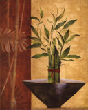 Lucky Bamboo I