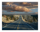 Buy The Trip at AllPosters.com