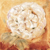Buy Wild Romance at AllPosters.com