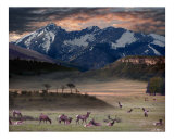 Buy Wapiti Heaven at AllPosters.com