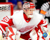 Dominik Hasek