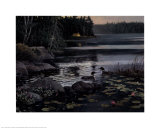 Buy Northern Visitors at AllPosters.com