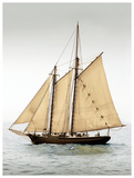 Mystic Journey II