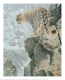Snow Leopard, On the Edge