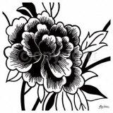 Buy Black Rose I at AllPosters.com