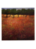 Buy Orchard at AllPosters.com