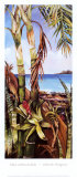 Palms and Bromeliads