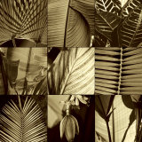 Tropical Leaves I
