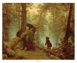 Buy Morning in a Pine Forest at AllPosters.com