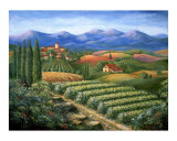 Tuscan Vineyard and Village