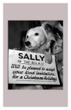 Sally Looks For a Home