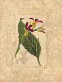 Buy Estudio de Flores I at AllPosters.com
