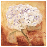Buy Am I Forgiven! at AllPosters.com