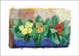 Buy Polyanthus at AllPosters.com