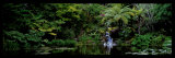Buy Ayrlies, Auckland, New Zealand at AllPosters.com