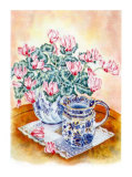 Buy Cyclamen at AllPosters.com