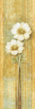 Quiet Flowers I