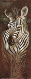 Buy Striped Innocence at AllPosters.com