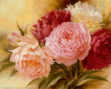 A Sweet Memory II