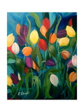 Tulips Galore! Giclee Print