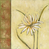 Buy Celadon Beauty II at AllPosters.com