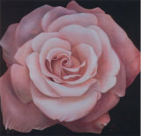 Buy Pink Passion II at AllPosters.com