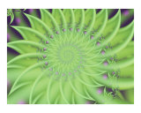 Buy Primavera at AllPosters.com