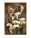Buy Golden Calla Lilies at AllPosters.com