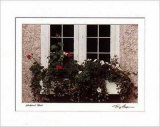 Window Box